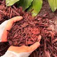 Мульчирование